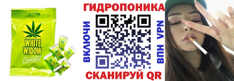 Cannafood конопля  darknet как зайти  Алупка  гидра ТОР 