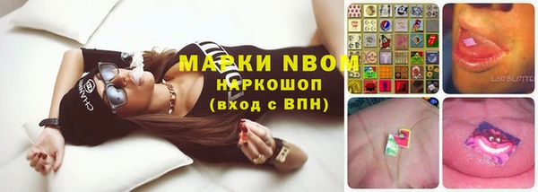 стафф Алексин