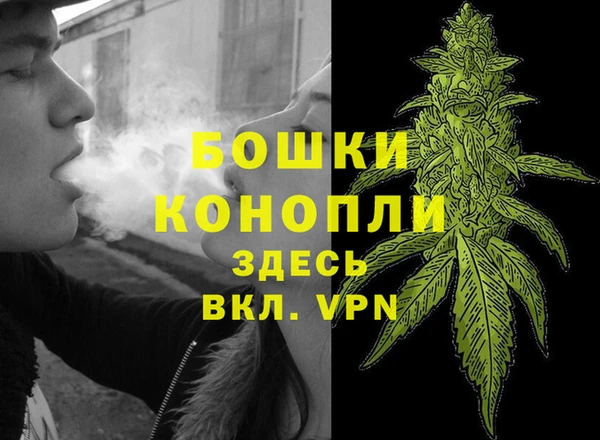 бутират Алзамай